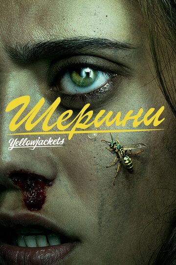 Шершни 1-2 сезон